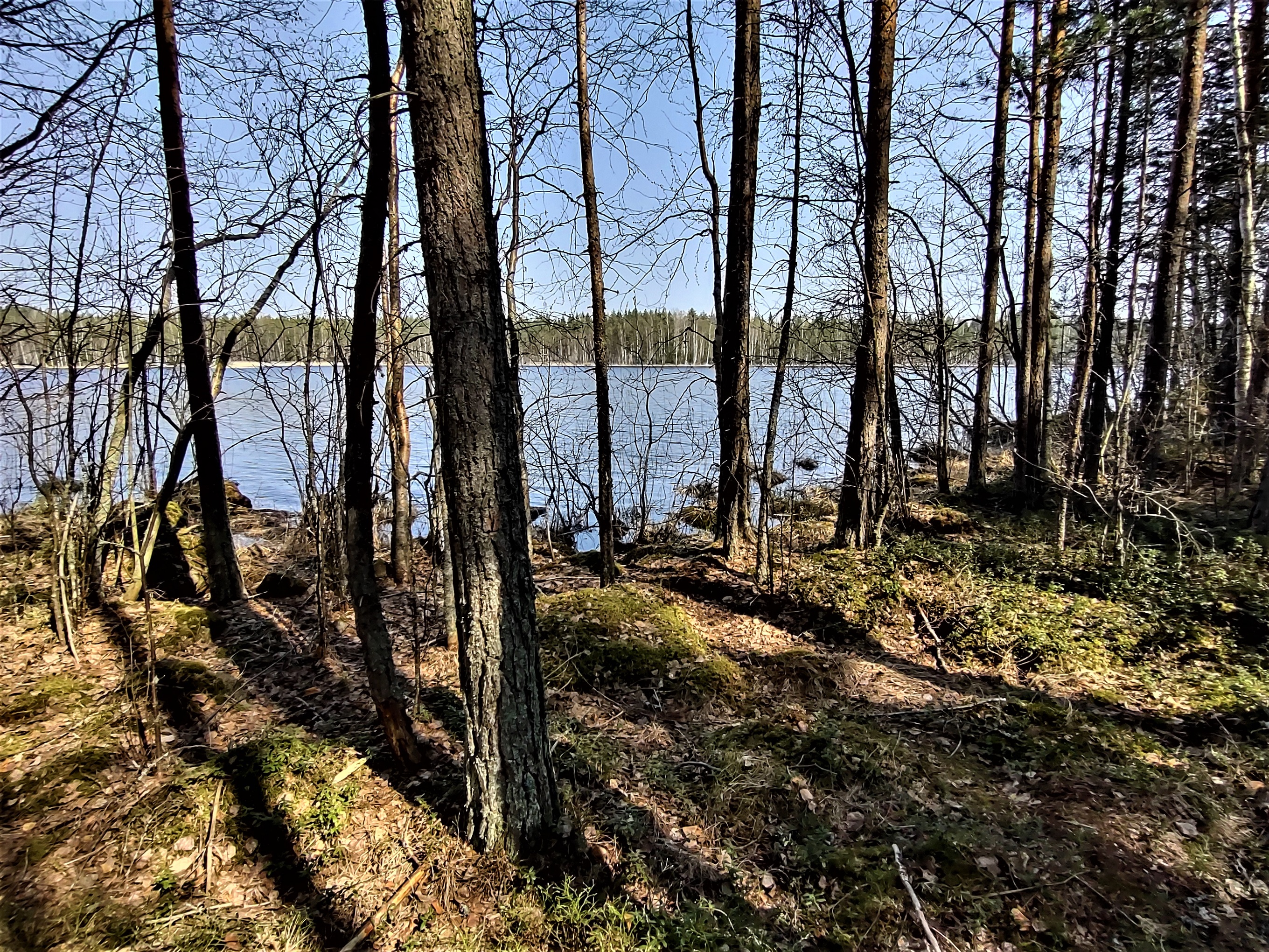 Vapaa-ajan tontti, Ketokankaantie, 79520, Varkaus, Erolansaari - Kohteet -  Ostotoimeksianto - Open Market kiinteistönvälitys